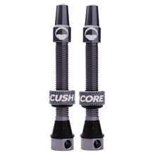 Load image into Gallery viewer, Cush Core valve set - Titanium