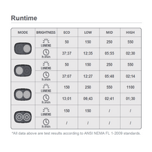Load image into Gallery viewer, Ray1100 Runtime
